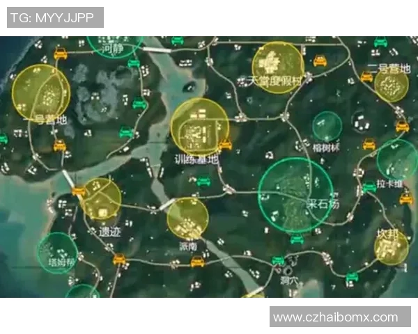 和平精英战术BLG的灵活转换体系解析与实战应用探讨